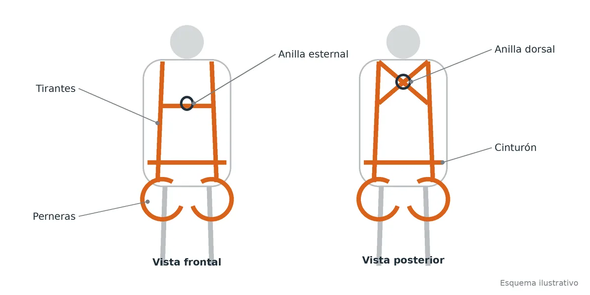 Arneses anticaídas en vista frontal y posterior con anilla esternal, anilla dorsal, tirantes y perneras